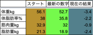 EMSトレーニング　ダイエット